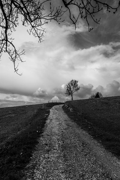 2018_05_08_Jura (0071_b-w).jpg - lac de Bellefontaine, Jura (Mai 2018)